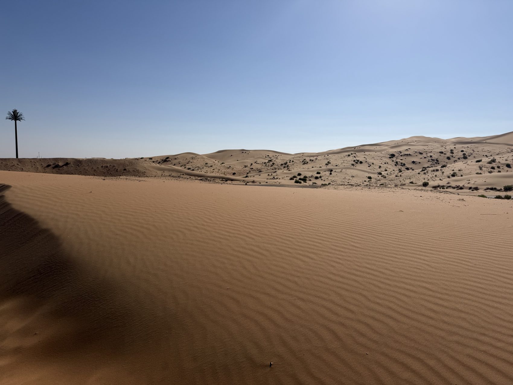 The dunes beyond the resort walls.